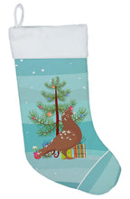 Load image into Gallery viewer, African Owl Pigeon Christmas Christmas Stocking BB9320CS