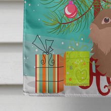 Load image into Gallery viewer, Lionhead Rabbit Christmas Flag Canvas House Size BB9327CHF