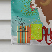 Load image into Gallery viewer, Jacob Sheep Christmas Flag Canvas House Size BB9342CHF