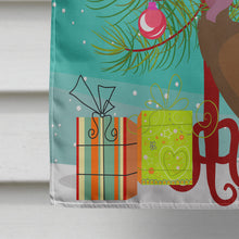 Load image into Gallery viewer, Bourbon Red Turkey Hen Christmas Flag Canvas House Size BB9349CHF