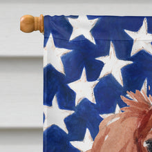 Load image into Gallery viewer, Blenheim Cavalier Spaniel Patriotic Flag Canvas House Size BB9358CHF