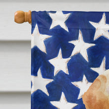 Load image into Gallery viewer, Yellow Labrador Patriotic Flag Canvas House Size BB9366CHF