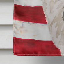 Load image into Gallery viewer, Border Collie Patriotic Flag Canvas House Size BB9373CHF