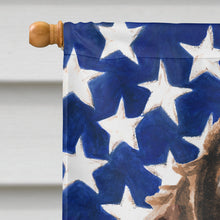 Load image into Gallery viewer, Brown Parti Patriotic Flag Canvas House Size BB9377CHF