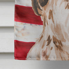 Load image into Gallery viewer, Brown Parti Patriotic Flag Canvas House Size BB9377CHF