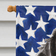 Load image into Gallery viewer, Black Parti Patriotic Flag Canvas House Size BB9378CHF