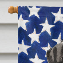 Load image into Gallery viewer, Dalmatian Patriotic Flag Canvas House Size BB9380CHF