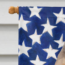 Load image into Gallery viewer, Fawn Natural Great Dane Patriotic Flag Canvas House Size BB9384CHF