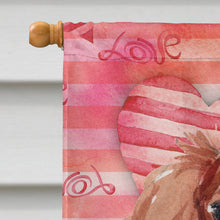 Load image into Gallery viewer, Blenheim Cavalier Spaniel Love Flag Canvas House Size BB9463CHF