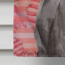 Load image into Gallery viewer, Black Labrador Love Flag Canvas House Size BB9468CHF