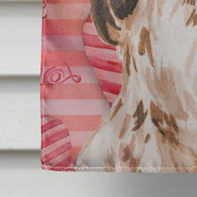 Load image into Gallery viewer, Brown Parti Love Flag Canvas House Size BB9482CHF