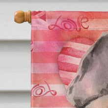 Load image into Gallery viewer, Fawn French Bulldog Love Flag Canvas House Size BB9487CHF