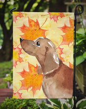 Load image into Gallery viewer, Red Tan Dachshund Fall Garden Flag - Outdoor Decorative Yard Flag BB9511GF