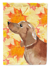 Load image into Gallery viewer, Red Tan Dachshund Fall Garden Flag - Outdoor Decorative Yard Flag BB9511GF