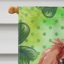 Load image into Gallery viewer, Blenheim Cavalier Spaniel St. Patrick's Flag Canvas House Size BB9533CHF