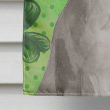 Load image into Gallery viewer, Staffordshire Bull Terrier St. Patrick's Flag Canvas House Size BB9535CHF