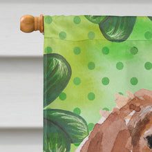 Load image into Gallery viewer, Brittany Spaniel St. Patrick's Flag Canvas House Size BB9539CHF