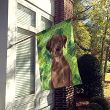 Load image into Gallery viewer, Chocolate Labrador St. Patrick's Flag Canvas House Size BB9540CHF