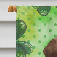 Load image into Gallery viewer, Chocolate Labrador St. Patrick's Flag Canvas House Size BB9540CHF