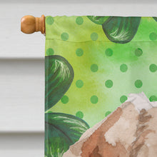 Load image into Gallery viewer, Wire Hair Jack Russell St. Patrick's Flag Canvas House Size BB9543CHF