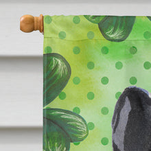 Load image into Gallery viewer, Black White French Bulldog St. Patrick's Flag Canvas House Size BB9547CHF