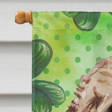 Load image into Gallery viewer, Brown Cockapoo St. Patrick's Flag Canvas House Size BB9549CHF