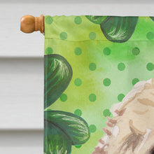 Load image into Gallery viewer, Champagne Cockapoo St. Patrick's Flag Canvas House Size BB9550CHF