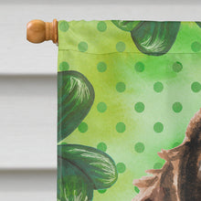 Load image into Gallery viewer, Brown Parti St. Patrick's Flag Canvas House Size BB9552CHF
