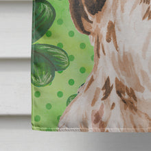 Load image into Gallery viewer, Brown Parti St. Patrick's Flag Canvas House Size BB9552CHF