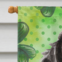 Load image into Gallery viewer, Black Parti St. Patrick's Flag Canvas House Size BB9553CHF