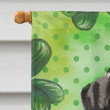 Load image into Gallery viewer, Dalmatian St. Patrick's Flag Canvas House Size BB9555CHF