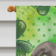 Load image into Gallery viewer, Italian Greyhound St. Patrick's Flag Canvas House Size BB9562CHF