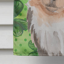 Load image into Gallery viewer, Long Haired Chihuahua St. Patrick's Flag Canvas House Size BB9564CHF