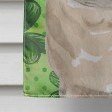Load image into Gallery viewer, Fawn Pug St. Patrick's Flag Canvas House Size BB9566CHF