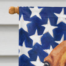 Load image into Gallery viewer, Dachshund Patriotic Flag Canvas House Size BB9652CHF