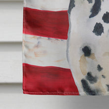 Load image into Gallery viewer, Dalmatian Patriotic Flag Canvas House Size BB9653CHF
