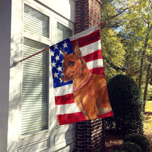 Load image into Gallery viewer, Miniature Pinscher Patriotic Flag Canvas House Size BB9656CHF