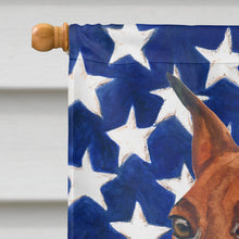 Load image into Gallery viewer, Miniature Pinscher Patriotic Flag Canvas House Size BB9656CHF