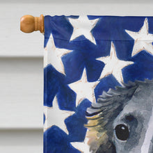 Load image into Gallery viewer, Borzoi Patriotic Flag Canvas House Size BB9672CHF