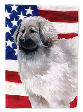 Load image into Gallery viewer, Moscow Watchdog Patriotic Flag Canvas House Size BB9673CHF