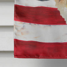 Load image into Gallery viewer, Saint Bernard Patriotic Flag Canvas House Size BB9679CHF