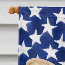 Load image into Gallery viewer, French Bulldog Patriotic Flag Canvas House Size BB9688CHF