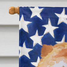 Load image into Gallery viewer, Cane Corso Patriotic Flag Canvas House Size BB9695CHF
