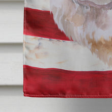 Load image into Gallery viewer, Cane Corso Patriotic Flag Canvas House Size BB9695CHF