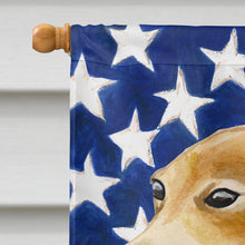 Load image into Gallery viewer, Italian Greyhound Patriotic Flag Canvas House Size BB9698CHF