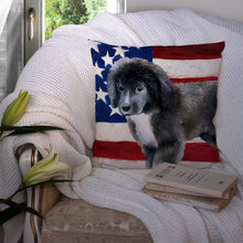 Load image into Gallery viewer, Newfoundland Puppy Patriotic Throw Pillow - 14x14 Decorative Pillow – Art for Your Home &amp; Patio BB9699PW1414