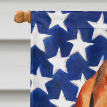 Load image into Gallery viewer, Basset Hound Patriotic Flag Canvas House Size BB9704CHF