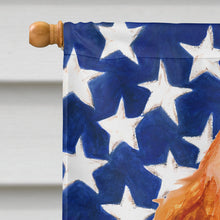 Load image into Gallery viewer, Cocker Spaniel Patriotic Flag Canvas House Size BB9706CHF