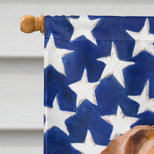 Load image into Gallery viewer, Jack Russell Terrier #2 Patriotic Flag Canvas House Size BB9713CHF