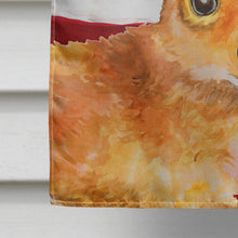 Load image into Gallery viewer, Toy Terrier Patriotic Flag Canvas House Size BB9722CHF